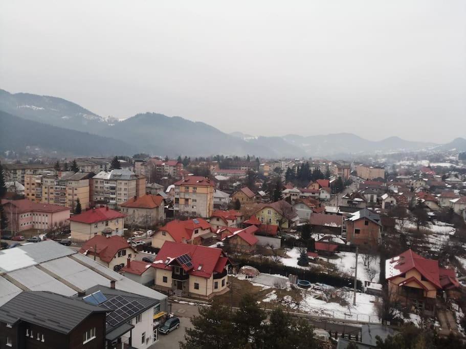 Casa Cristian Villa Câmpulung Moldovenesc Esterno foto